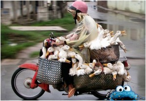 k3ki-Alaa-22122013-11