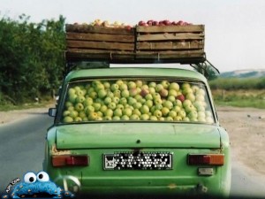 k3ki-Alaa-22122013-6