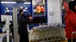 k3ki-Alaa-2012014-15