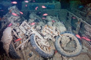 سفينة غارقة بمياه البحر الأحمر مليئة بالسيارات