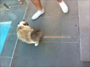 صور تم التقاطها في لحظة مميزة