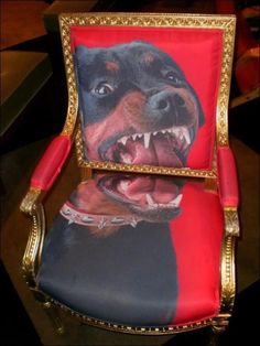 أشكال كراسي مضحكة