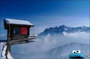 أكثر اللقطات والصور حماقة ومخاطرة17