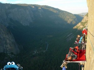 أكثر اللقطات والصور حماقة ومخاطرة4