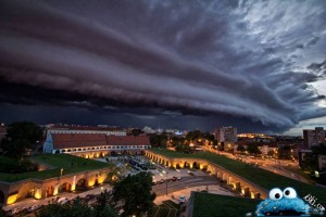 أكثر اللقطات والصور حماقة ومخاطرة5