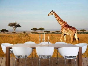 تزيين الجدارن