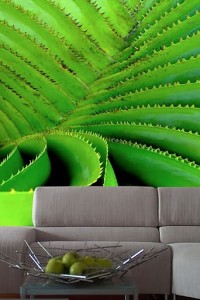 تزيين الجدارن