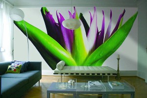 تزيين الجدارن