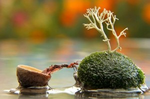 صور رائعة ومميزة تجلب السرور لقلبك