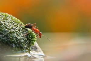 صور رائعة ومميزة تجلب السرور لقلبك