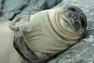 صور رائعة ومميزة تجلب السرور لقلبك