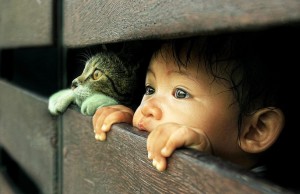 صور رائعة ومميزة تجلب السرور لقلبك