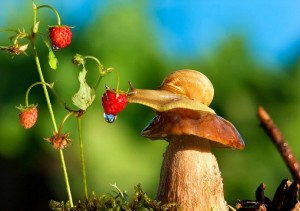 صور رائعة ومميزة تجلب السرور لقلبك