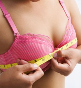 الصدر الكبير